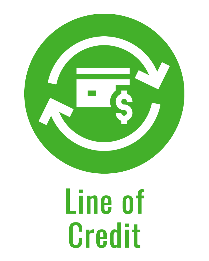 Line of Credit icon